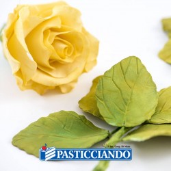 Kit 7 tagliapasta petali e sepalo rosa Decora in vendita online