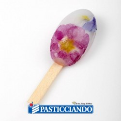 Stampo per gelato 4 cavità PL08 Poket Waikiki Pavoni in vendita online