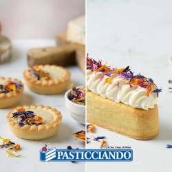 copy of Semilavorato per crema a freddo  in vendita online