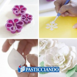 Kit tagliapasta gardenia 9pz Decora in vendita online