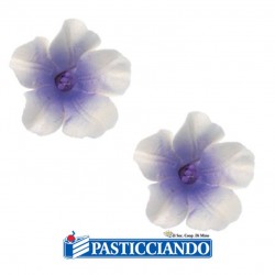  Vendita on-line di Azalea in zucchero viola 2pz  