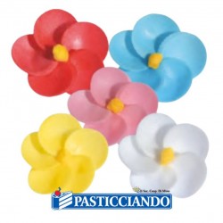  Vendita on-line di Primula in ostia assortita 200pz Decoralba SRL 