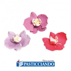  Vendita on-line di Orchidea in zucchero 1pz a scelta Decora 