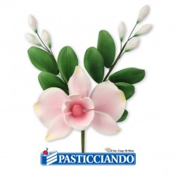  Vendita on-line di Ramo orchidea sfumata rosa in zucchero  