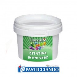  Selling on-line of Gelatina in polvere Floreal 