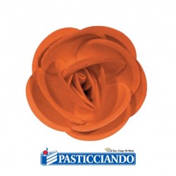 Rose giganti Ambra's in vendita online