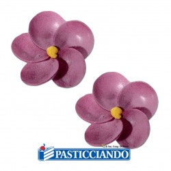 Violetta in ostia 200pz Floreal in vendita online