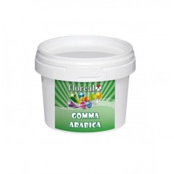  Selling on-line of Gomma arabica 50gr Floreal 