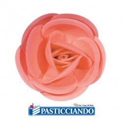 Rose in ostia giganti 50pz Ambra's in vendita online