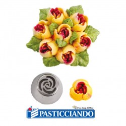  Vendita on-line di Beccuccio cornetto tulipano 7 petali  
